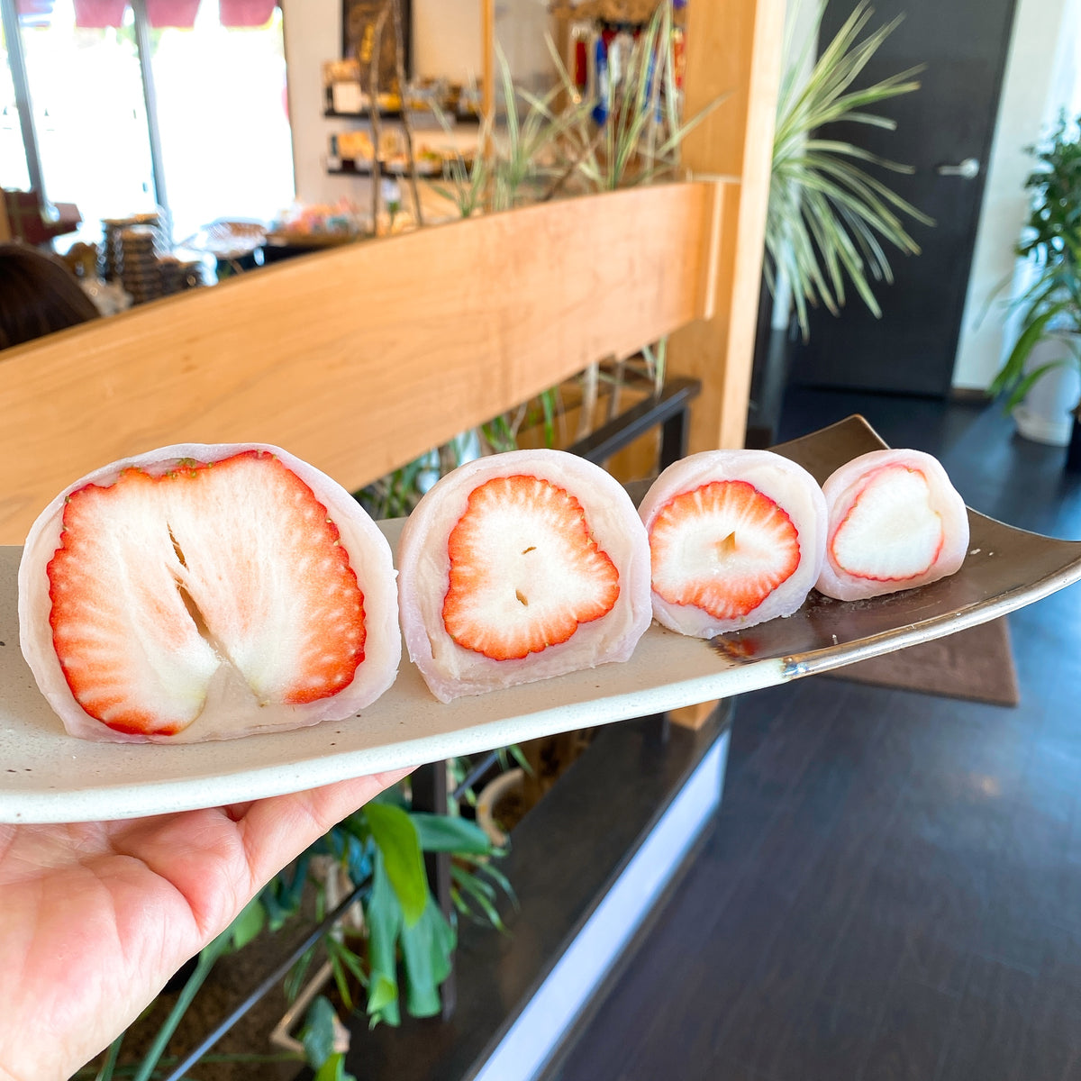 0EF58507-0F0A-4A31-8922-