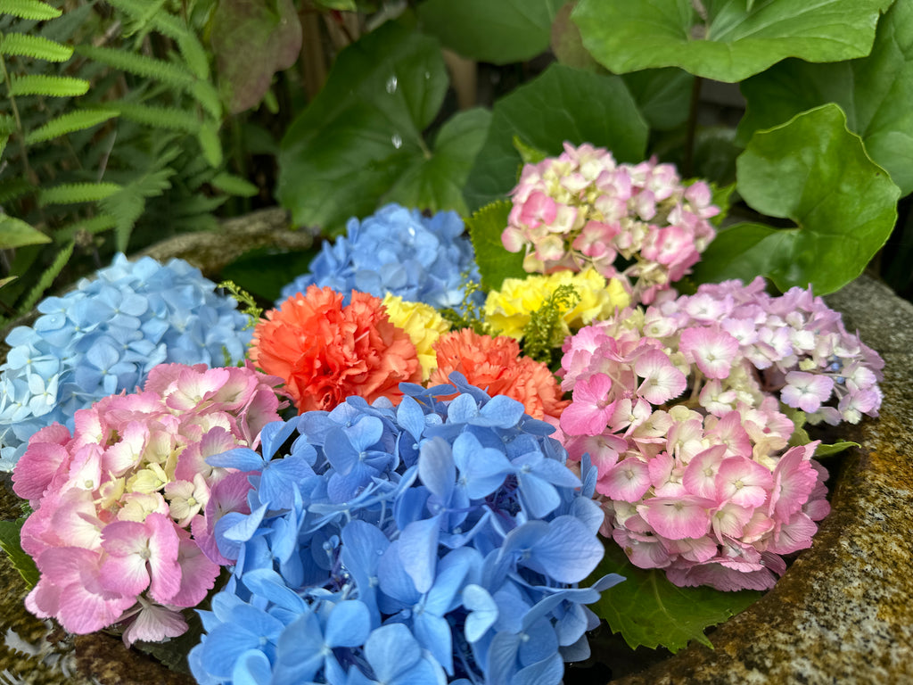5月のご意見はがき当選者様
