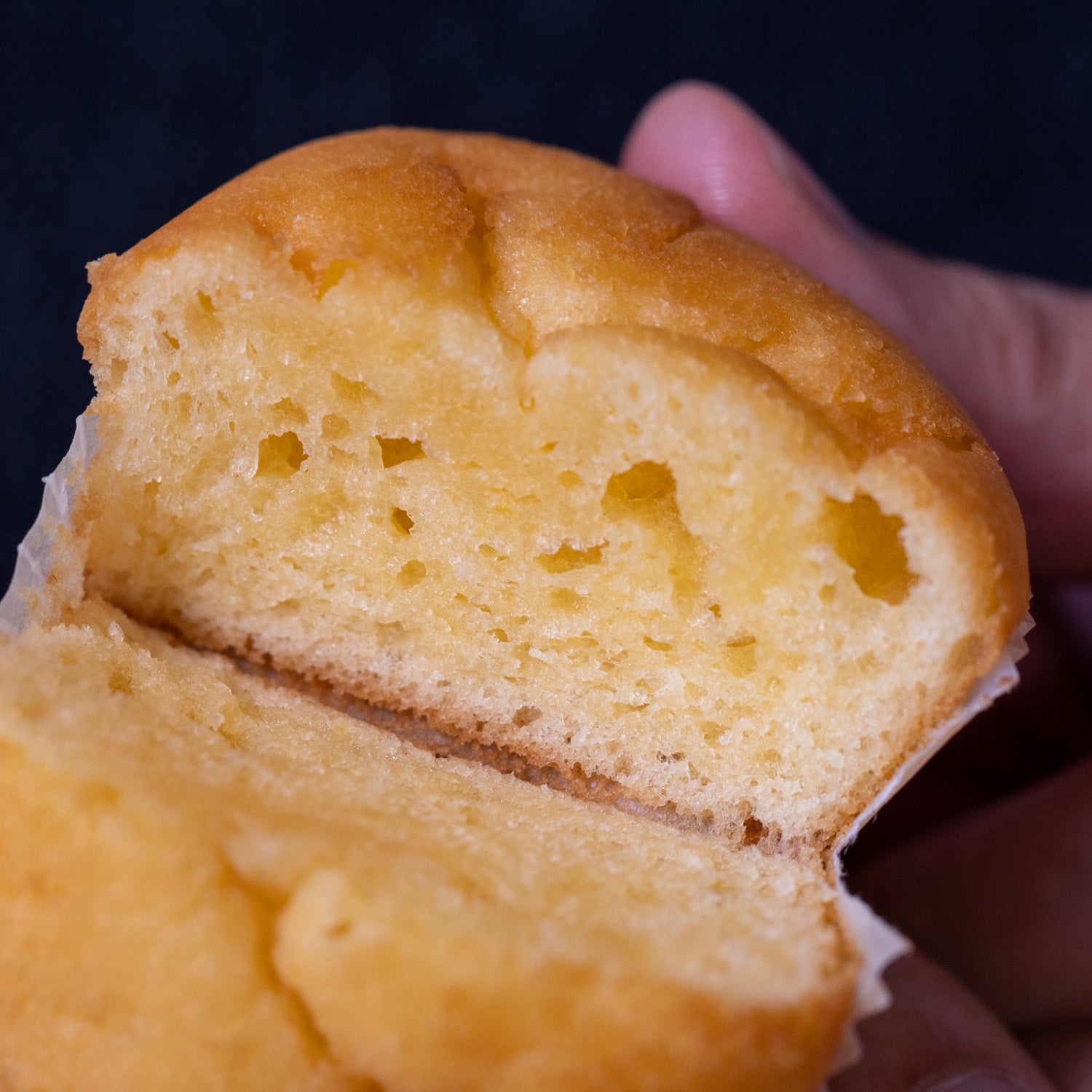 Wuz☆☆プレリードッグ純金２５㍉＋サウスダコタ純金ノート１５５mg☆☆ 新品】徳力本店 純金インゴット 5g ペンダントトップ チャーム